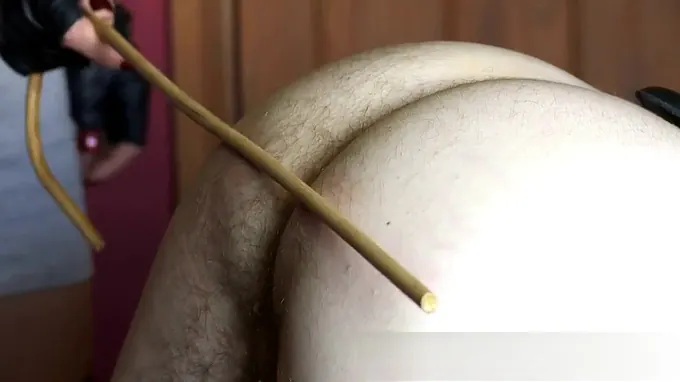 Nasty mistress is slapping her slave's hairy ass rough with a sex toy