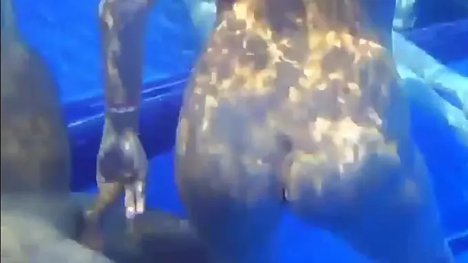 Horny babe in the swimming pool gets her cunt fingered seductively