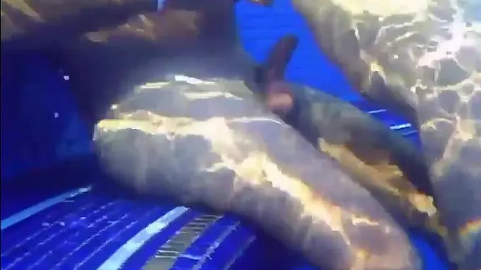 Horny babe in the swimming pool gets her cunt fingered seductively