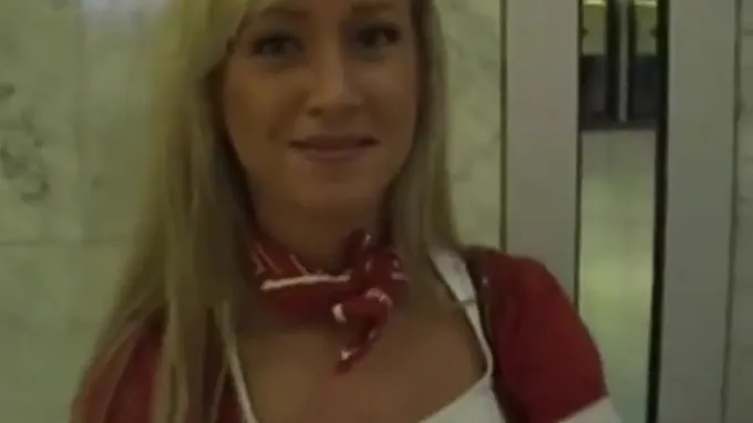 Sexy looking stewardess gets fucked in the toilet with hot facial