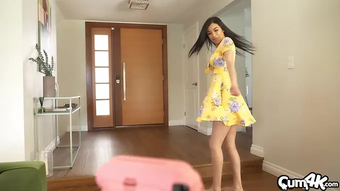 Sunshine and Creampies