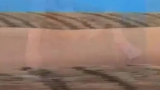 Off The Hook occasion for anal invasion