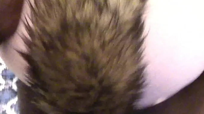 Fox Tail Rear End Plumbing Ginger Teen Point Of Sight (SHE LUVS IT) ;)