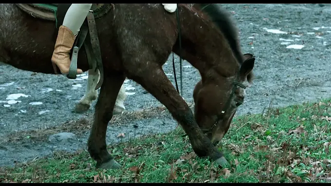 Justine A Matter of Chastity