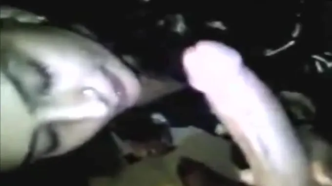 See this desi wifey swallow down a rigid manhood and gargle it tidy