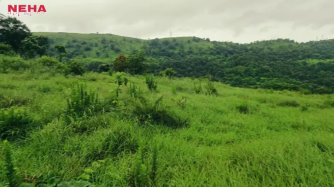 Desi Teen Naked Damsel screwed in outdoor with her hefty culo and cock-squeezing honeypot