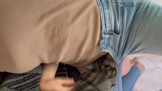 Lezzy dame with hefty bosoms and round framework loves getting frigged and touched by her scorching all girl pal