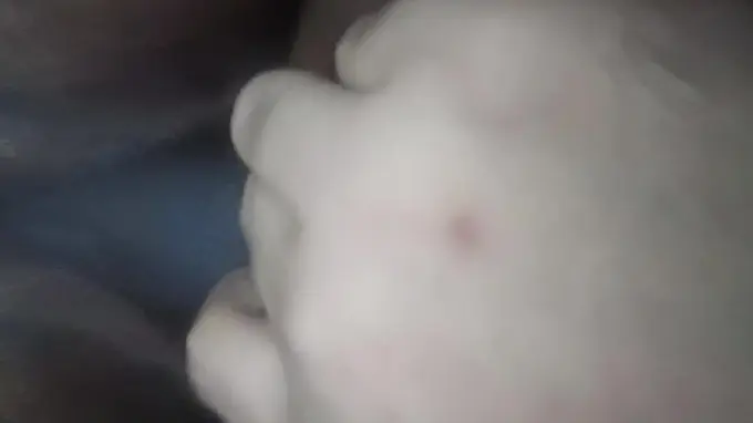Cute Malay Bitch Compilation - Real Naturals & Tiava Babysitter Get Off with Her Rearview