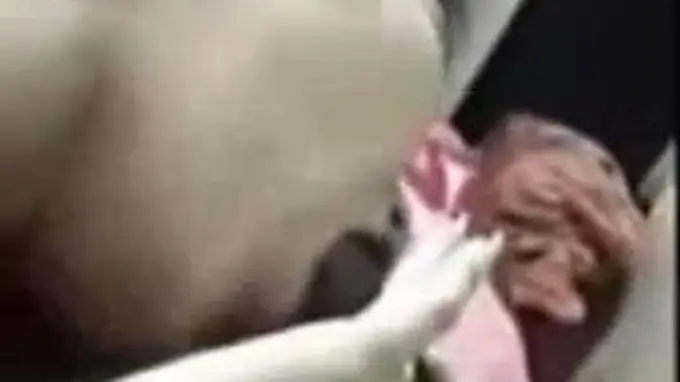 Asian slut gets her ass drilled and mouth filled with cum