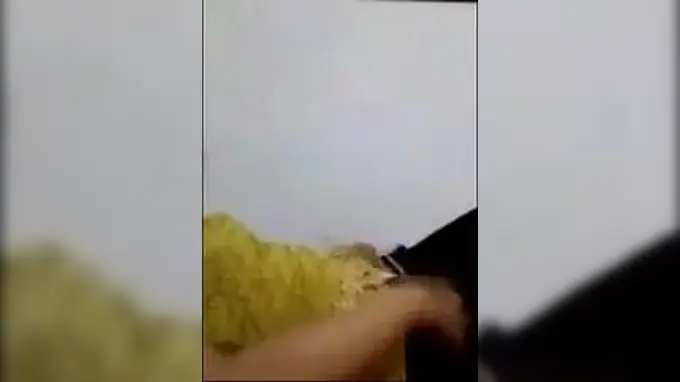 Hot Asian chick gets steamy with her only friend in this steamy awakens tudung
